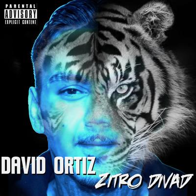 Zitro Divad's cover