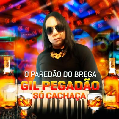 Só Cachaça (O Paredão do Brega)'s cover