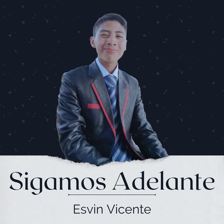 Esvin Vicente's avatar image