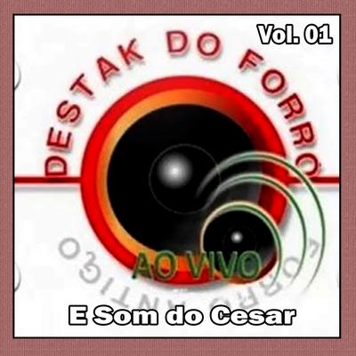 BANDA DESTAK DO FORRÓ's cover