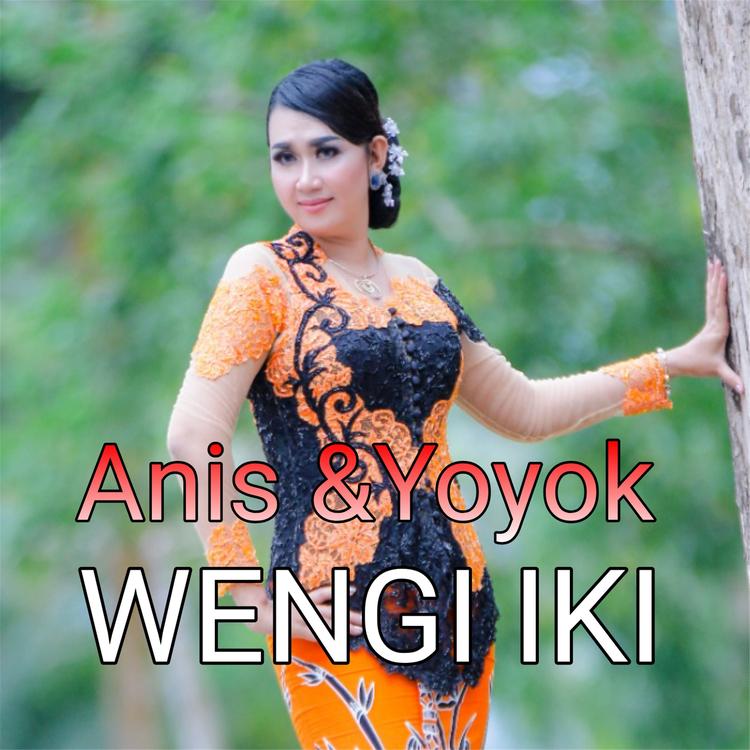 Anis & Yoyok's avatar image