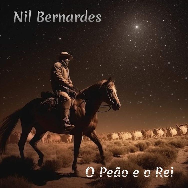 Nil Bernardes's avatar image