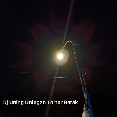 Dj Uning Uningan Tortor Batak's cover