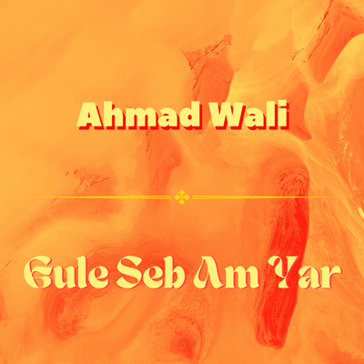 Ahmad Wali's cover