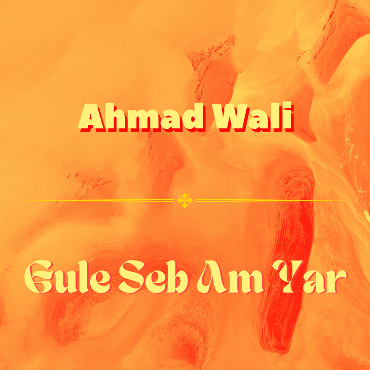 Ahmad Wali's avatar image