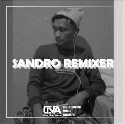 SANDRO REMIXER's cover