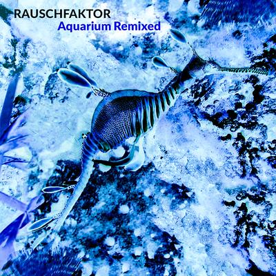 Rauschfaktor's cover