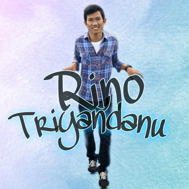 Rino Triyandanu's avatar image