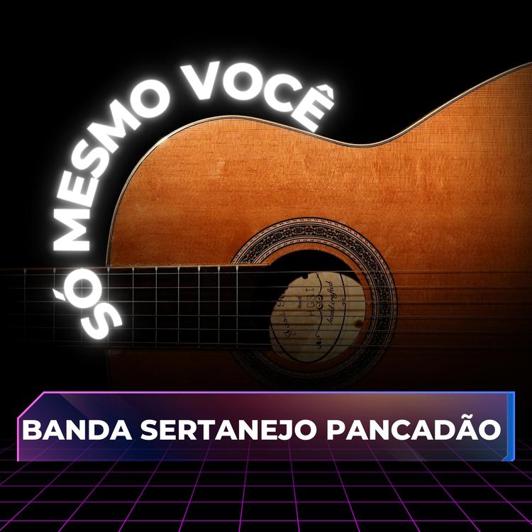 Banda Sertanejo Pancadão's avatar image