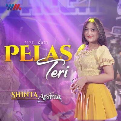 Pelas Teri By Shinta Arsinta's cover