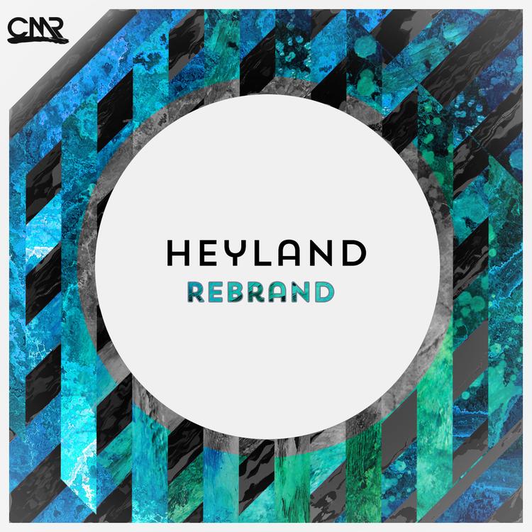 Heyland's avatar image