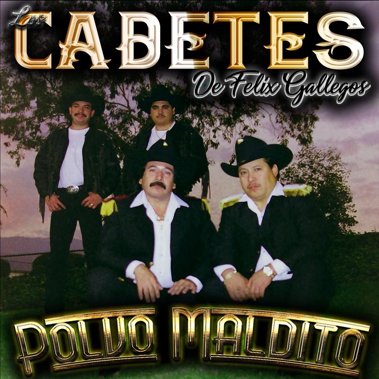 Los Cadetes de Felix Gallegos's avatar image