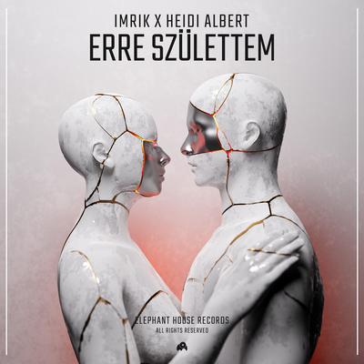 Erre születtem (Extended Mix)'s cover