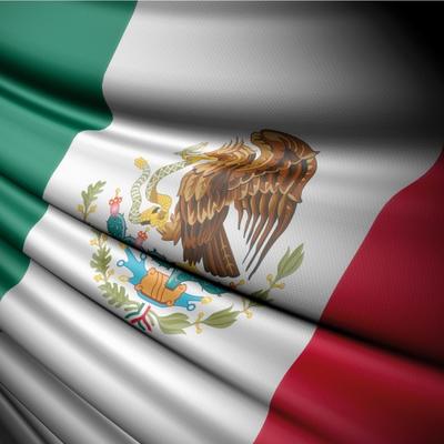 Himno de la Brigada de Fusileros Paracaidistas de la Fuerza Aérea Mexicana Paracaidistas's cover