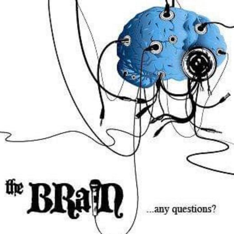 THE BRAIN's avatar image