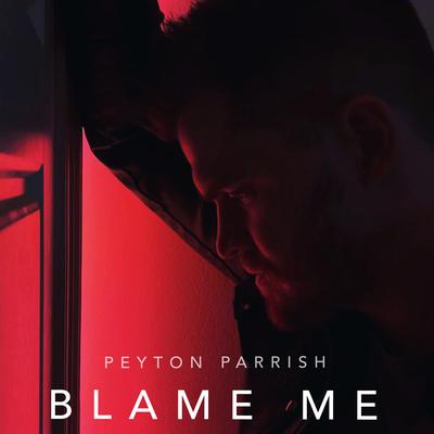 Blame Me By Peyton Parrish's cover
