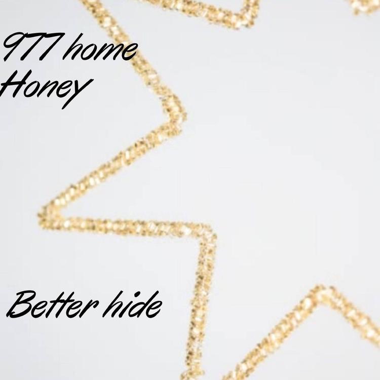 977 home Honey's avatar image