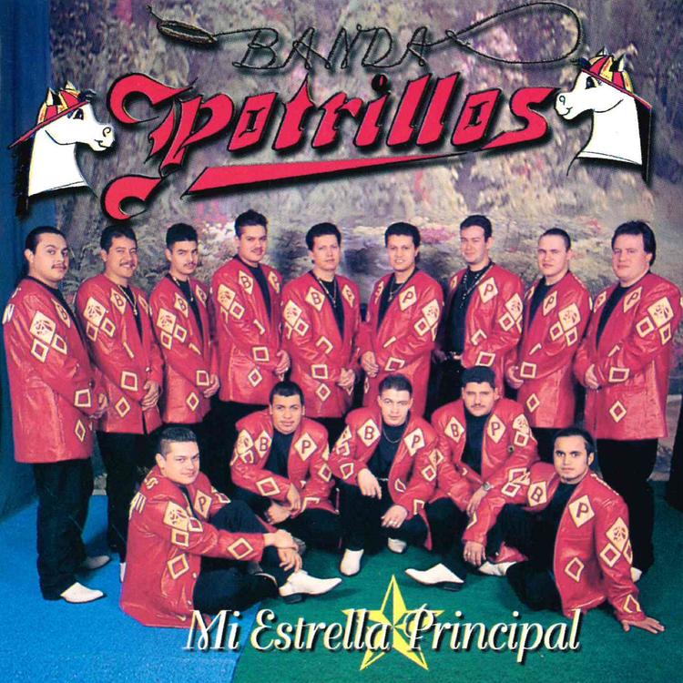 Banda Potrillos's avatar image