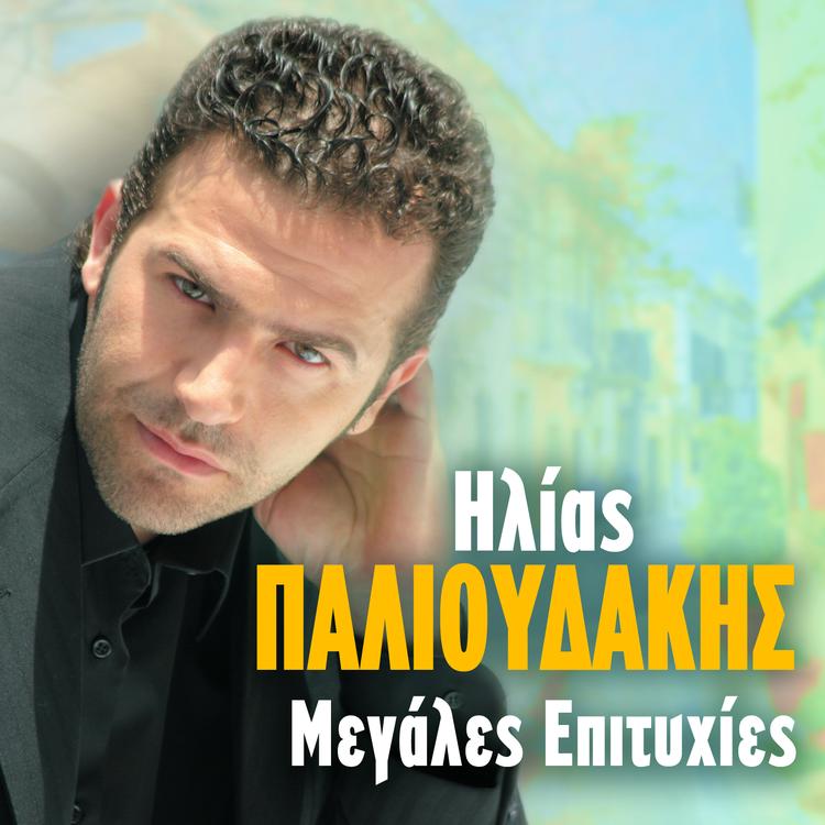 Ilias Palioudakis's avatar image