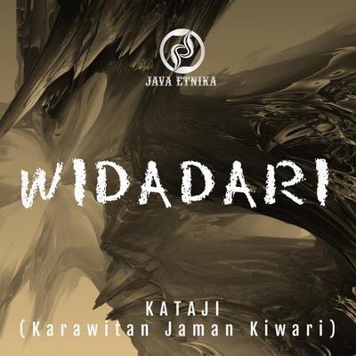 Widadari's cover
