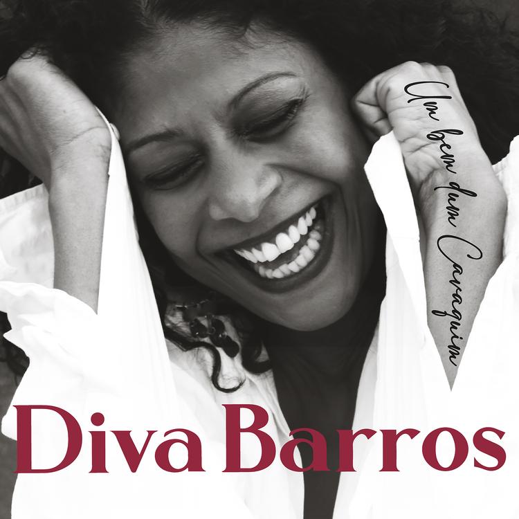 Diva Barros's avatar image