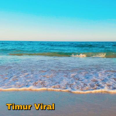 Timur Viral's cover