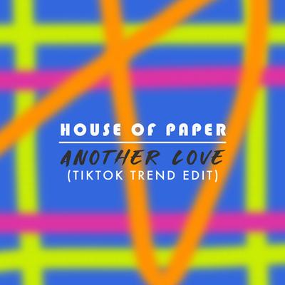 Another Love (TikTok Trend Edit) By House Of Paper's cover