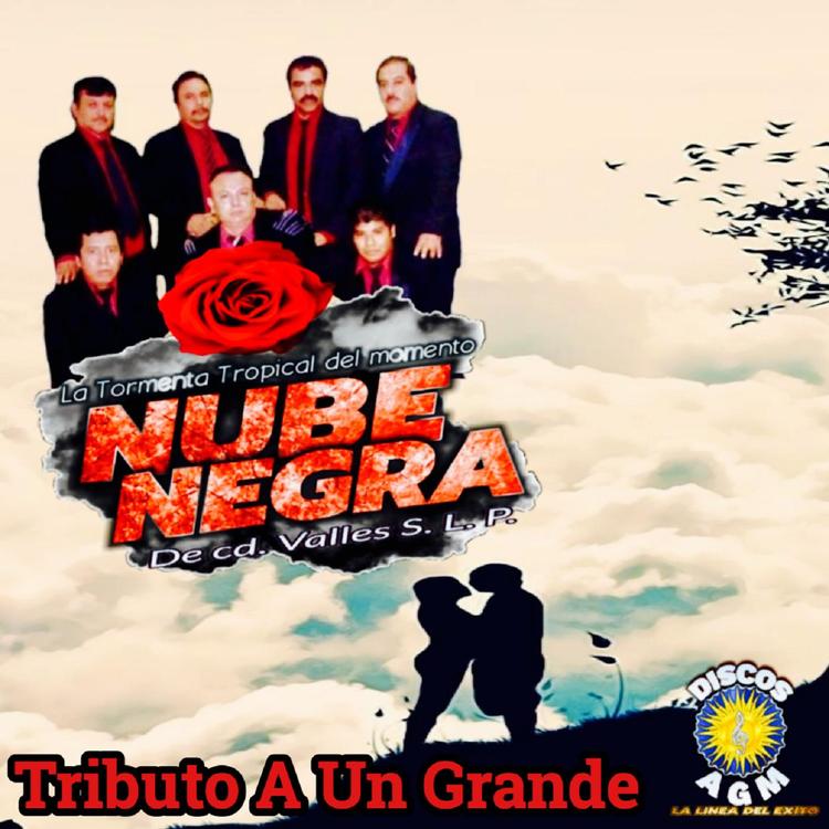 Nubre Negra's avatar image