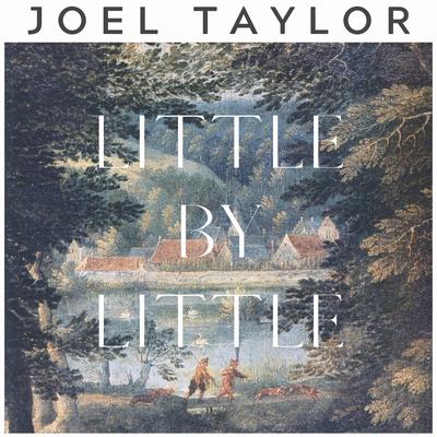 Little by Little By Joel Taylor's cover