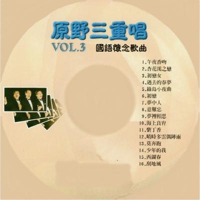 國語懷念歌曲, Vol. 3's cover