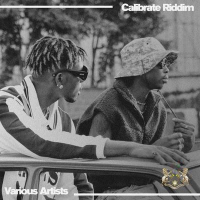 Calibrate Riddim's cover