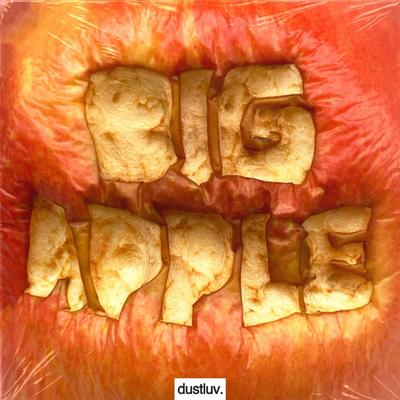 Big Apple By Saiko, dustluv's cover