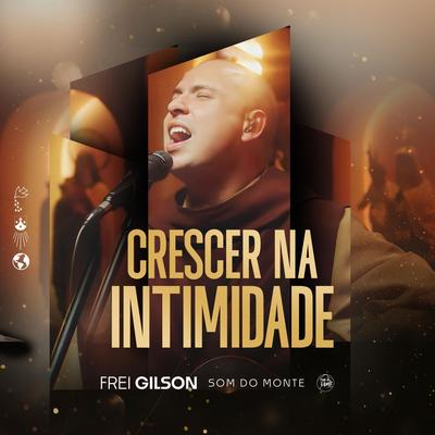 Crescer Na Intimidade By Frei Gilson's cover