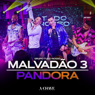 Malvadão 3 / Pandora By Grupo Tudo Nosso's cover