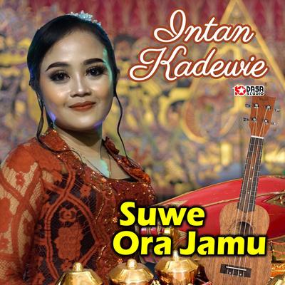 Suwe Ora Jamu's cover