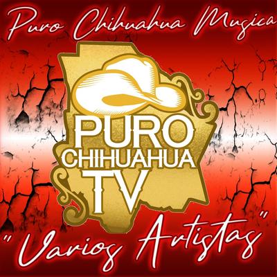 Puro Chihuahua Música (En Vivo)'s cover