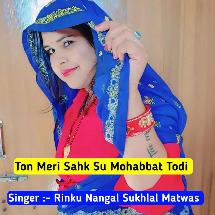 Rinku Nangal Sukhlal Matwas's avatar image