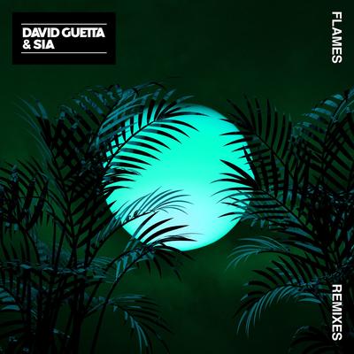 Flames (Instrumental) By Sia, David Guetta's cover