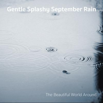 Steady Heavy Maine Rain By The Beautiful World Around's cover