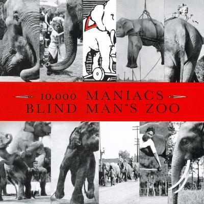 Blind Man's Zoo's cover