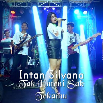 Tak Enteni Sak Tekamu By Intan Silvana's cover