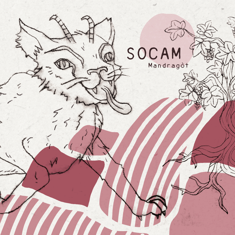 Socam's avatar image