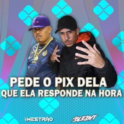 Pede o Pix Dela Que Ela Responde na Hora By MC Mestrão, Dj Blebyt's cover