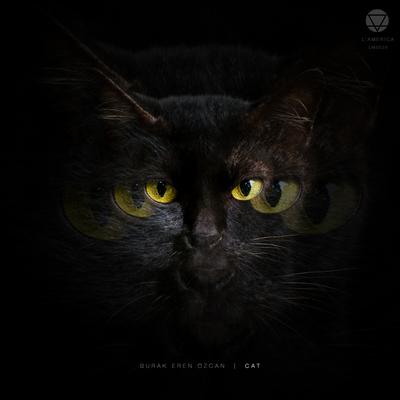 Cat By Burak Eren Ozcan's cover