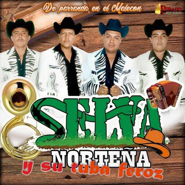 Selva Norteña y su Tuba Feroz's avatar image