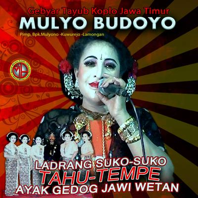 TAYUB MULYO BUDOYO, Vol. 7's cover