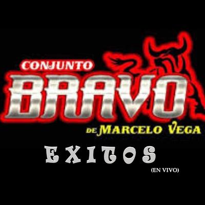 Exitos (En Vivo)'s cover