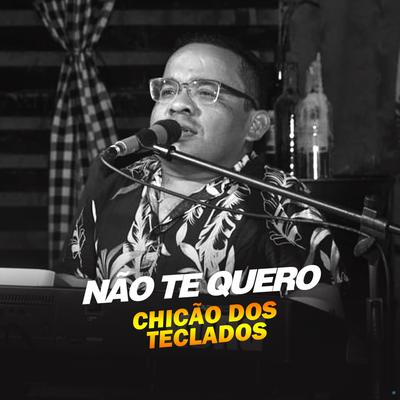 Não Te Quero (Ao Vivo) By Chicão dos Teclados's cover