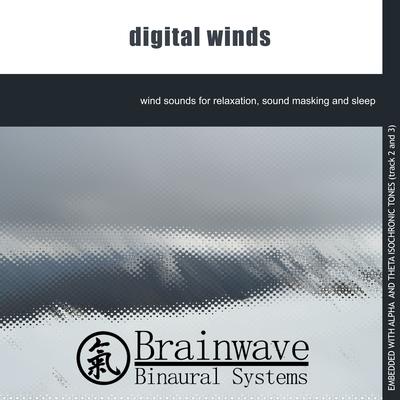 Pure Wind Session By Brainwave Binaural Systems's cover