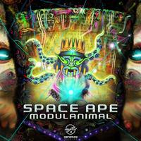 Space Ape's avatar cover